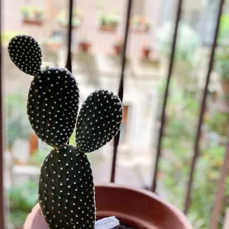 La Casa del Poeta-2