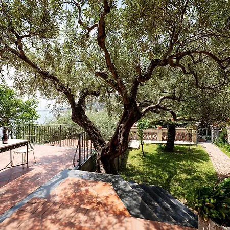 Villa degli Ulivi-2